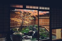 季節の移ろいとともに、色を重ねてゆく。京都『サロン＆ギャラリー 虹霓』の庭。ひみつの坪庭コレクション vol.23