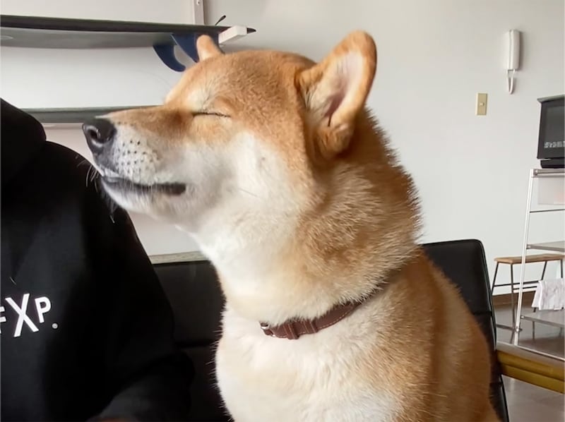 ハルくん、とーちゃんからもらう朝〜りんご編。