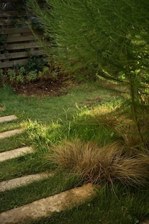 小さな幸せを運んでくれる庭。写真と文：齋藤拓磨 (花屋『Hljóð (ヒュウド) 』店主) #2