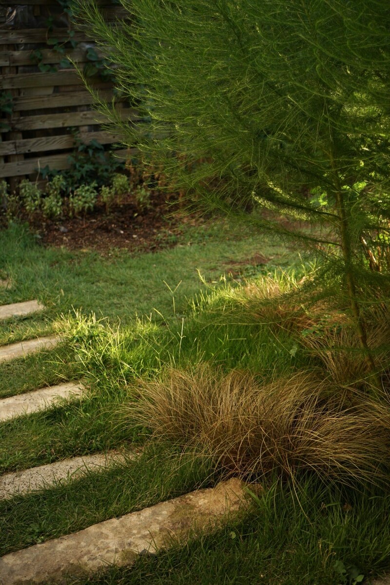 小さな幸せを運んでくれる庭。写真と文：齋藤拓磨 (花屋『Hljóð (ヒュウド) 』店主) #2