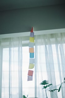 今月の写真家、今日の一枚。安藤 マミコ vol.16