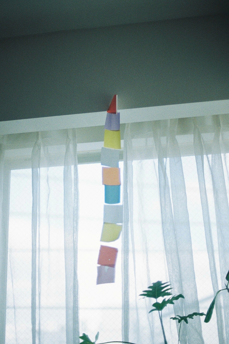 今月の写真家、今日の一枚。安藤 マミコ vol.16