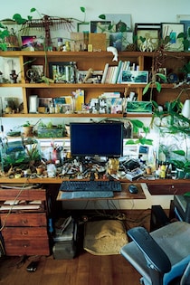 熱帯雨林のような空間に。植物に囲まれた、作家・市川拓司さんの書斎。