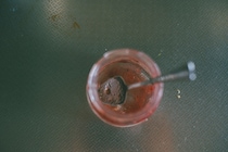 今月の写真家、今日の一枚。安藤 マミコ vol.18