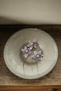 「もしかしたら、主役はいつもお花じゃなくてもいいのかもしれません」。東京・下落合の花屋『Hljóð』の店主、齋藤拓磨さんの1か月連載コラムはこちら。