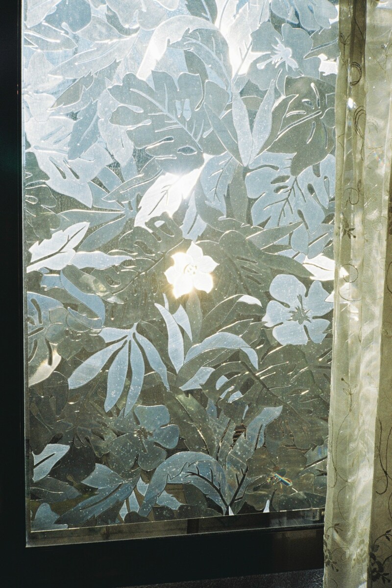 今月の写真家、今日の一枚。安藤 マミコ vol.20