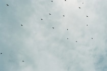 今月の写真家、今日の一枚。安藤 マミコ vol.21