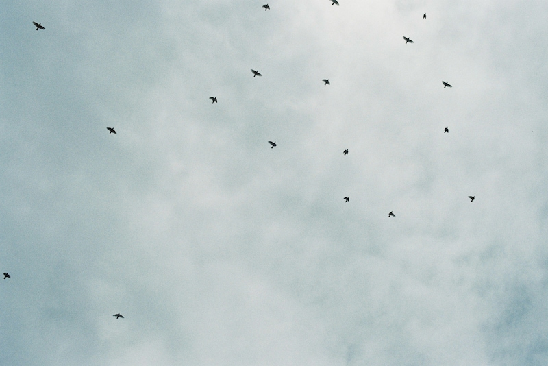 今月の写真家、今日の一枚。安藤 マミコ vol.21