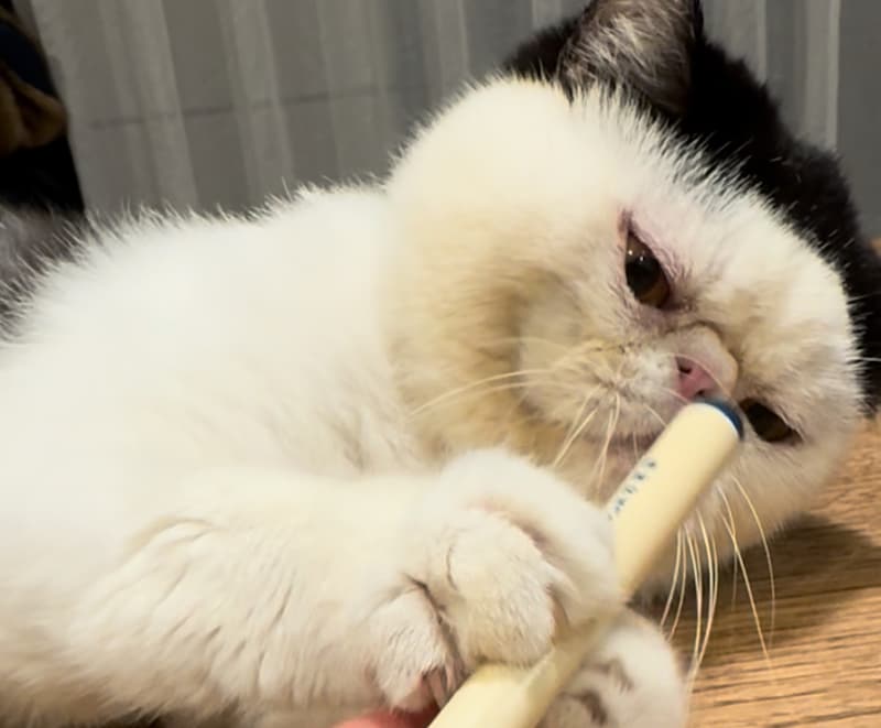 僕のストレス発散法。【おちょこ、ぽのぽのだより。vol.232】