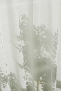 今月の写真家、今日の一枚。安藤 マミコ vol.26