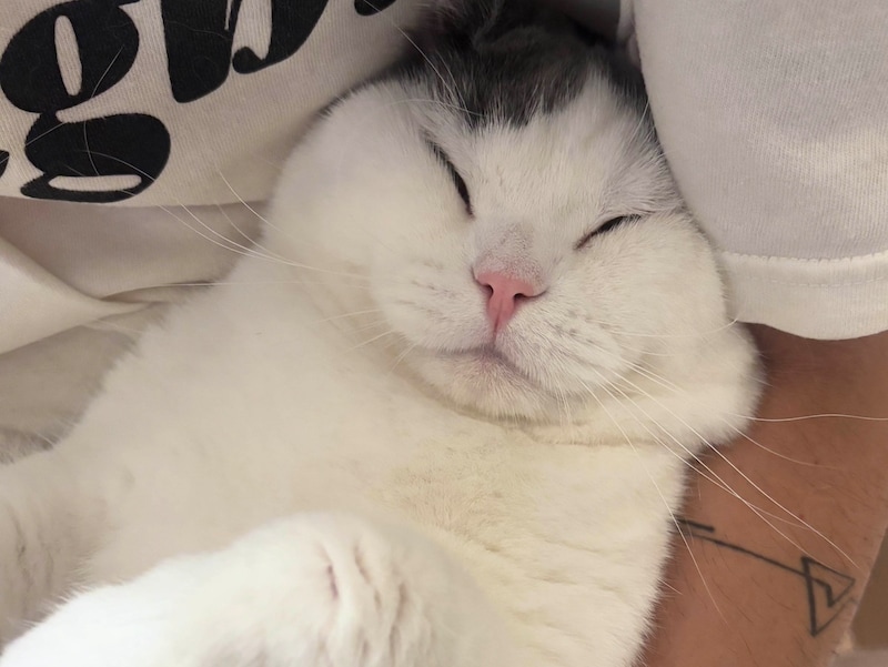 ハマりそうな予感！？【肉まんフェイスうずらの、 モチモチ便り。vol.25】