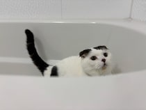 今日は「いい風呂」の日！【いなほ、オレ物語。vol.258】