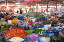 自炊料理家・山口 祐加さんによる連載コラムは今日で最終回です。今回紹介してくれたのは、自然そのままをいただく「ラオスの市場」。