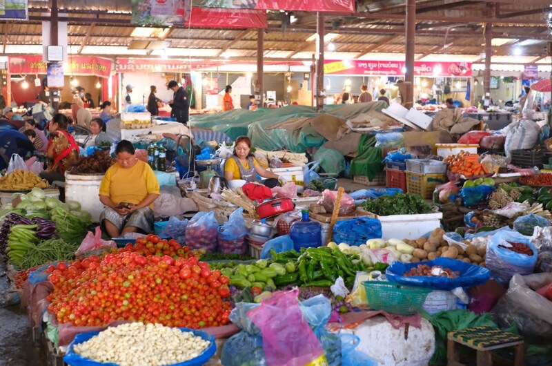 自炊料理家・山口 祐加さんによる連載コラムは今日で最終回です。今回紹介してくれたのは、自然そのままをいただく「ラオスの市場」。