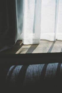 今月の写真家、今日の一枚。安藤 マミコ vol.28