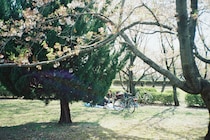 今月の写真家、今日の一枚。安藤 マミコ vol.29