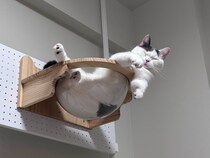 宇宙船、修行中。【肉まんフェイスうずらの、 モチモチ便り。vol.28】