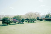 今月の写真家、今日の一枚。安藤 マミコ vol.30