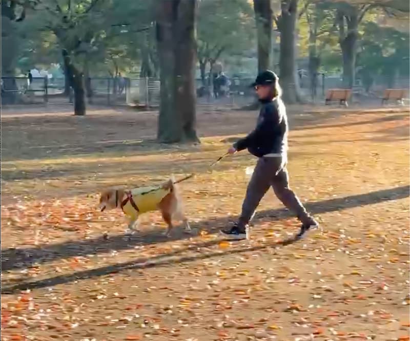 短かった秋の1日に躓くかーちゃん、驚くぼく。