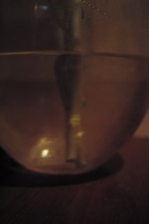 今月の写真家、今日の一枚。佐藤 隼 vol.5