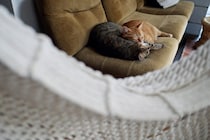 寒い日の過ごし方。【ウメタとキンタ、雪国ブラザーズの日常。vol.5】