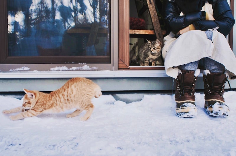 雪とはじめましてのぼくら。【ウメタとキンタ、雪国ブラザーズの日常。vol.7】