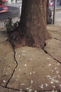 今月の写真家、今日の一枚。佐藤 隼 vol.10