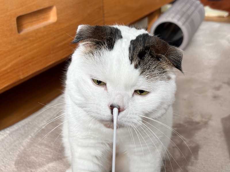 そろそろ、“アレ”お願い！【いなほ、オレ物語。vol.260】