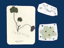 今日１日を、このイラストと。岩谷 香穂 vol.14