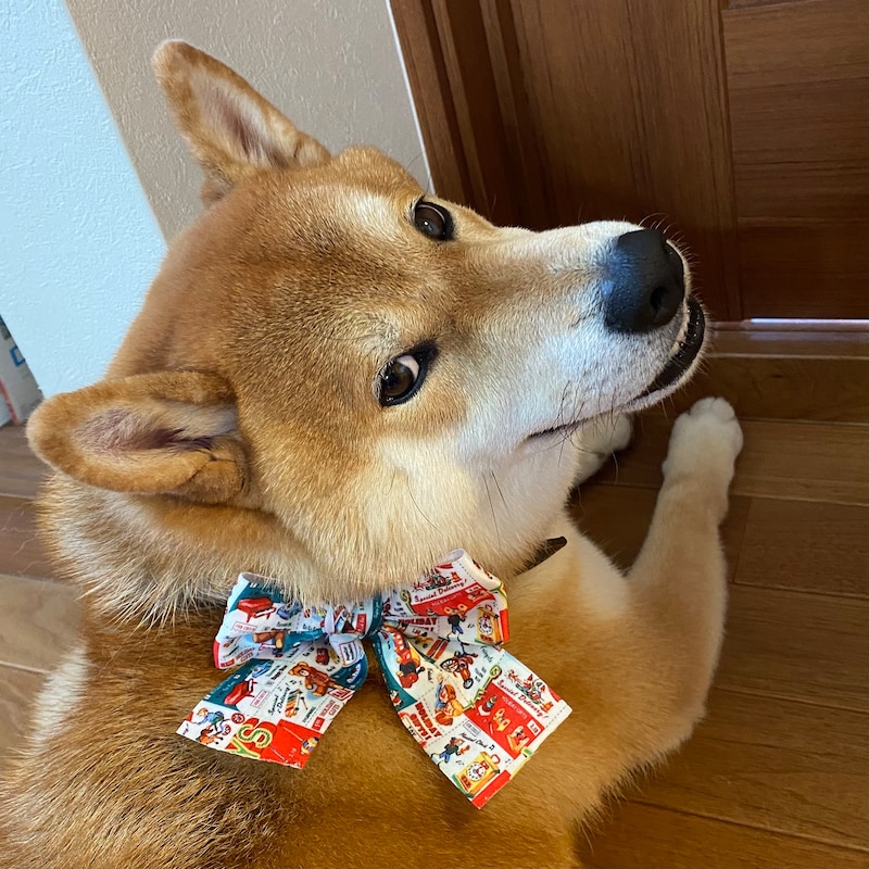 ジングルベールのお手伝い。