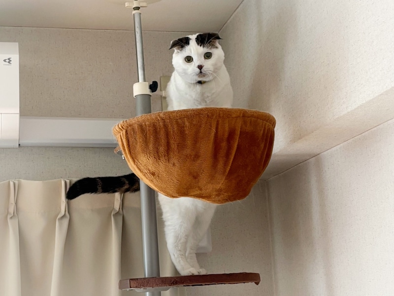 冬の寝床はこちら。【いなほ、オレ物語。vol.261】