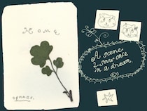 今日１日を、このイラストと。岩谷 香穂 vol.20