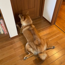 とーちゃん待ちスタイルのいろいろ。