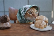 モデルのお仕事、してます。【ウメタとキンタ、雪国ブラザーズの日常。vol.22】