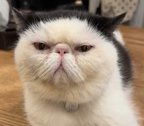 あっという間の４周年！【おちょこ、ぽのぽのだより。vol.237】