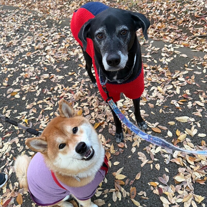 今年もお世話になりました。来年もよろしくお願いいたします。