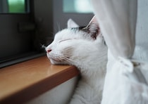 実は、あごのせ名人です。【ぽくあむのハートフルデイズ。vol.19】