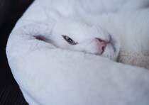 美白王子と呼んでください。【ぽくあむのハートフルデイズ。vol.20】