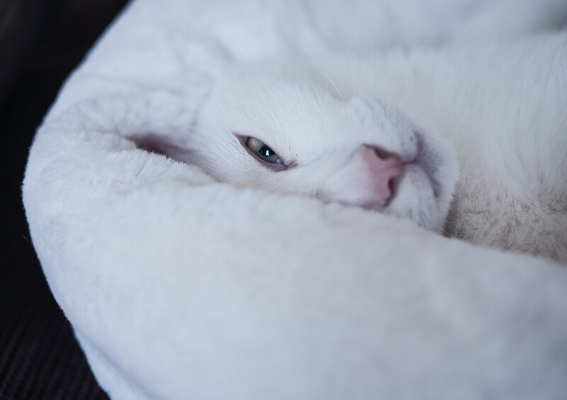 美白王子と呼んでください。【ぽくあむのハートフルデイズ。vol.20】