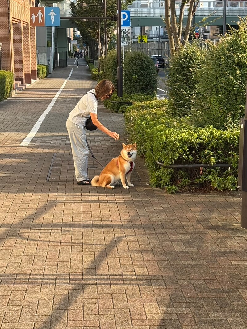 ハルくん、とーちゃんのお見送り。