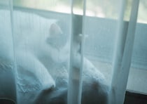 まだまだ暑い日は、ここでひんやり。【ぽくあむのハートフルデイズ。vol.22】