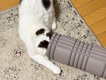 なぜか、吸い込まれるねん。【いなほ、オレ物語。vol.249】