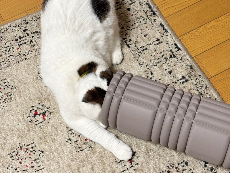 なぜか、吸い込まれるねん。【いなほ、オレ物語。vol.249】