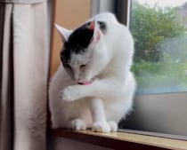 空模様はいかに？【ぽくあむのハートフルデイズ。vol.23】