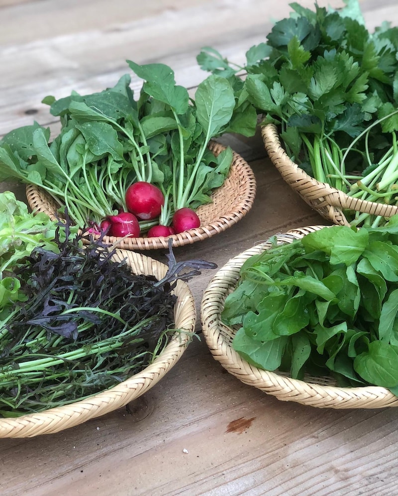 忙しさを楽しむ、自然に囲まれた移住暮らし。写真と文：長谷川 ちえ (『in-kyo』店主、エッセイスト) #4