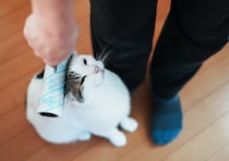 ぼく流、引きとめ作戦。【ぽくあむのハートフルデイズ。vol.24】