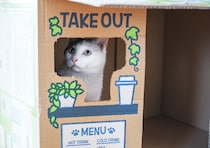 一杯いかが？【ぽくあむのハートフルデイズ。vol.25】