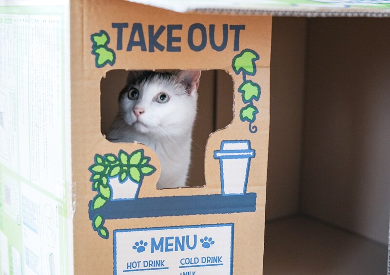 一杯いかが?【ぽくあむのハートフルデイズ。vol.25】