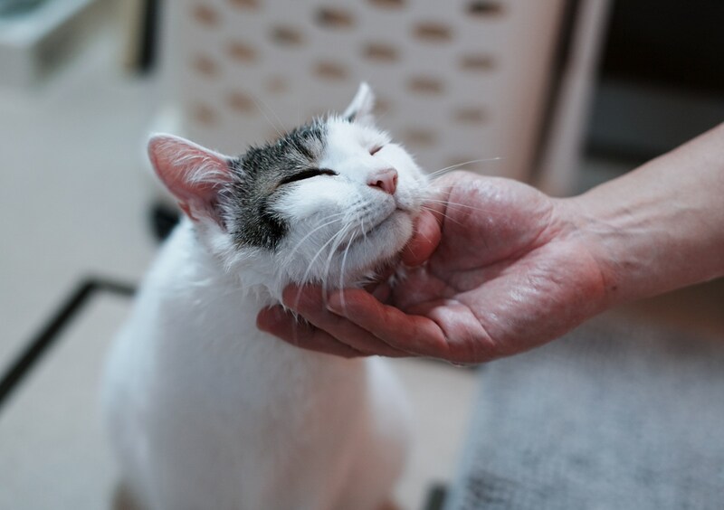 毎晩のマッサージは欠かせない!【ぽくあむのハートフルデイズ。vol.26】