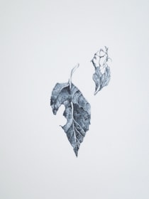 今日１日を、このイラストと。大脇 勇人vol.29